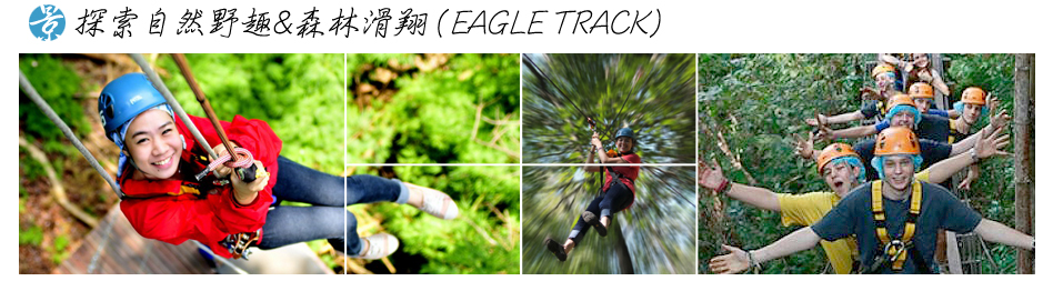 探索自然野趣&森林滑翔 (EAGLE TRACK)