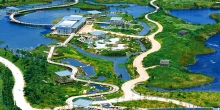 香港濕地公園、后海灣、南生圍生態遊