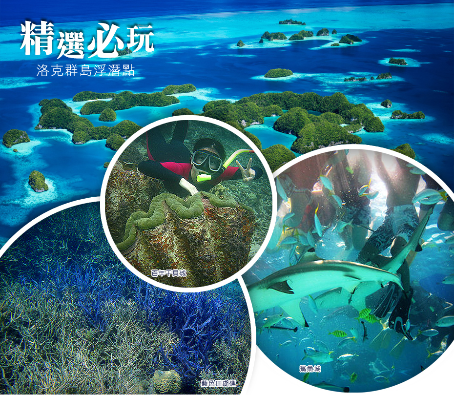 製作-行程特色-帛琉-精選必玩洛克群島浮潛景點(鯊魚+干貝+藍色珊瑚礁)