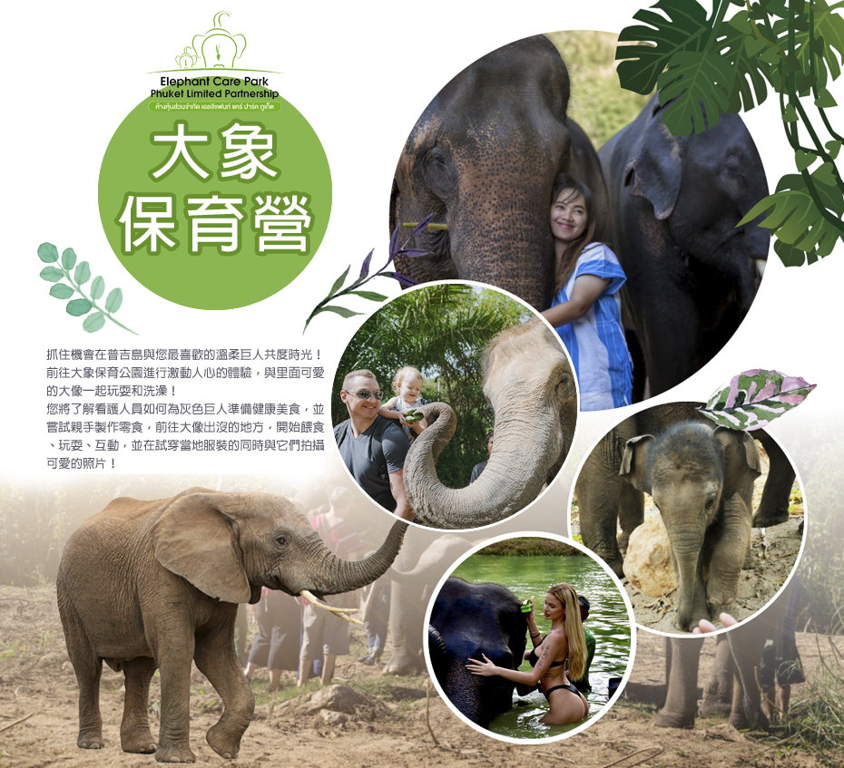 大象保育營